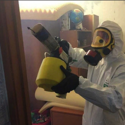 Уничтожение клопов в квартире. Баган